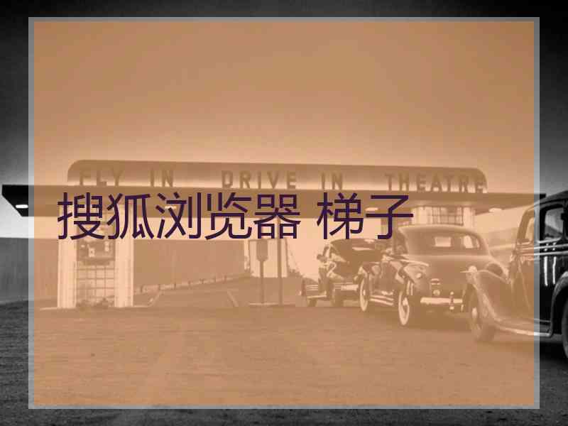 搜狐浏览器 梯子