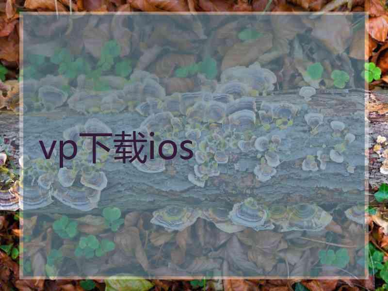 vp下载ios