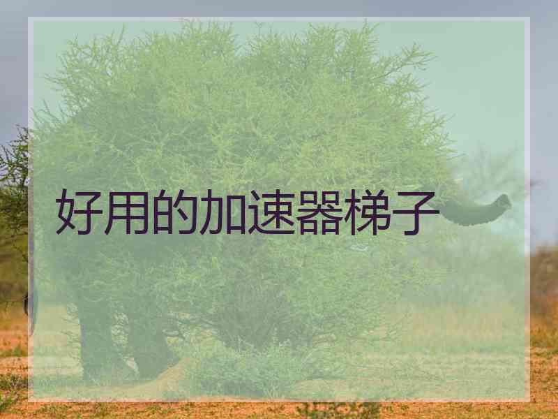好用的加速器梯子
