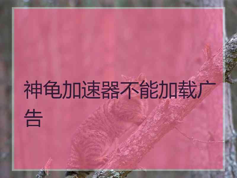 神龟加速器不能加载广告