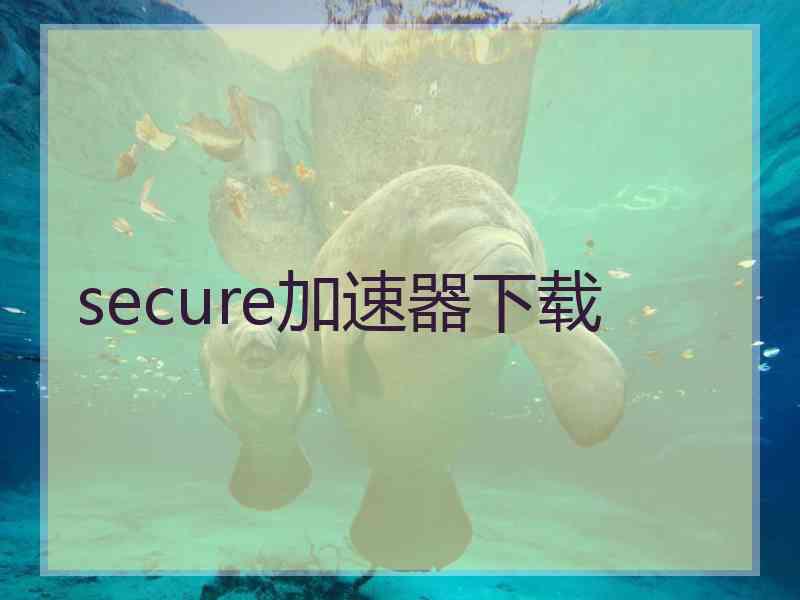 secure加速器下载