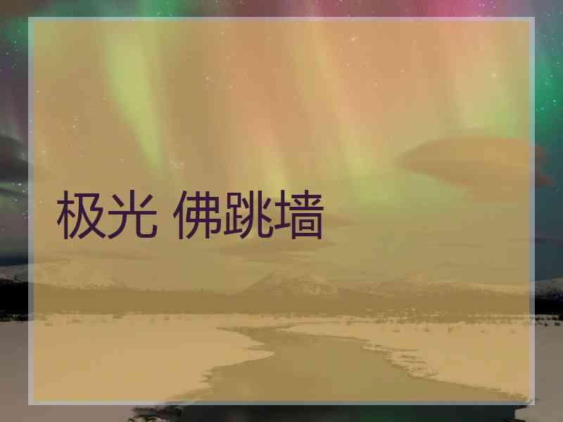 极光 佛跳墙
