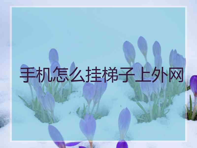手机怎么挂梯子上外网