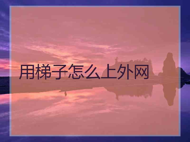 用梯子怎么上外网