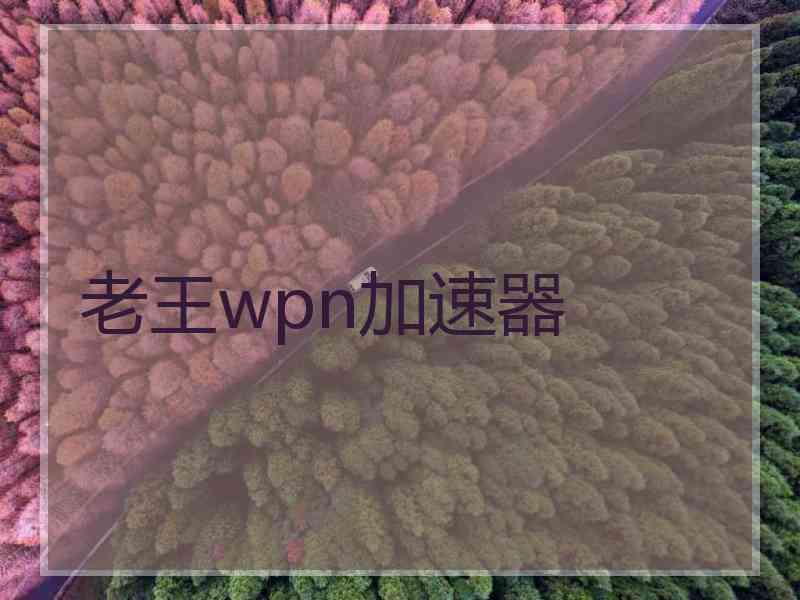 老王wpn加速器