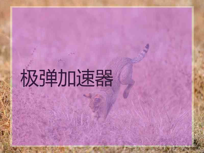 极弹加速器