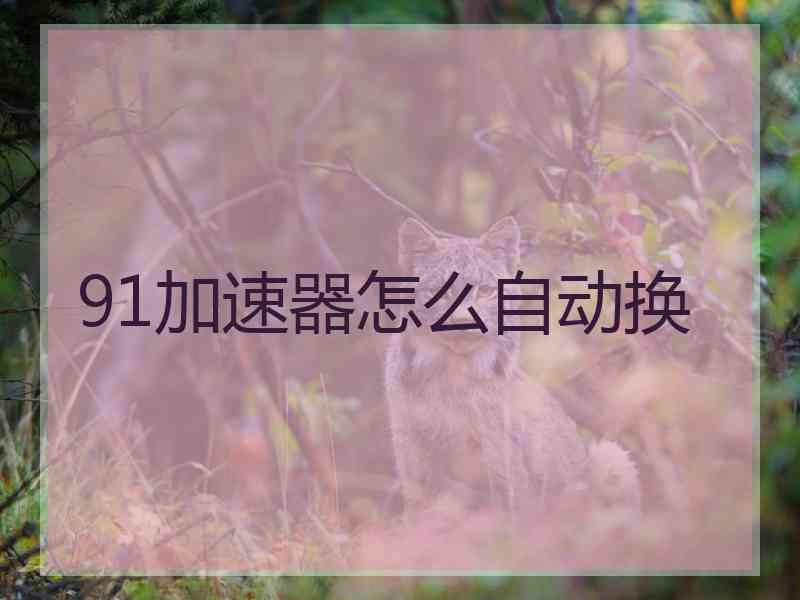 91加速器怎么自动换