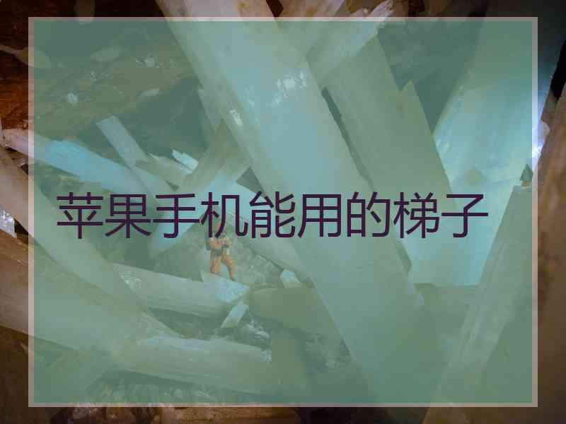 苹果手机能用的梯子