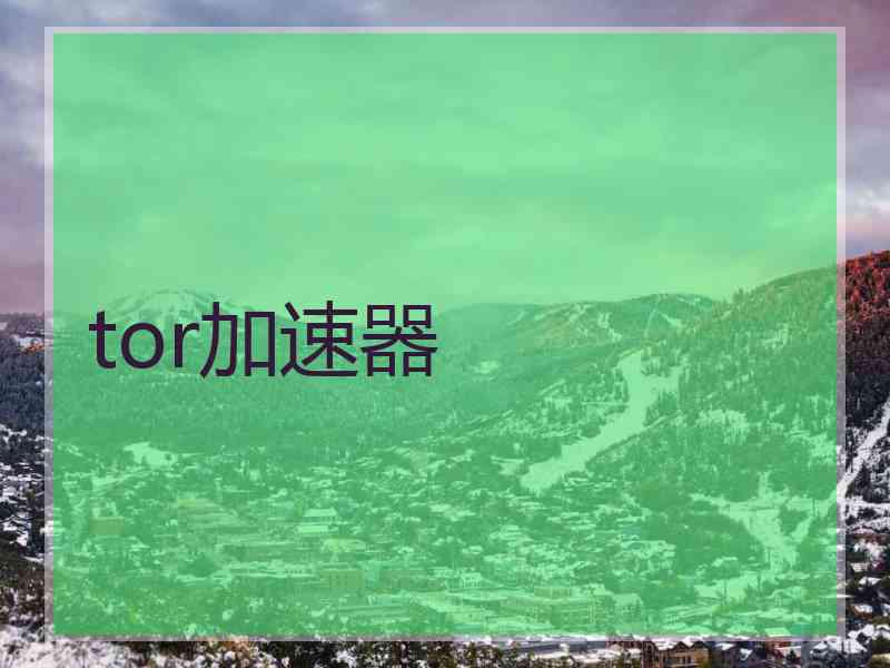 tor加速器