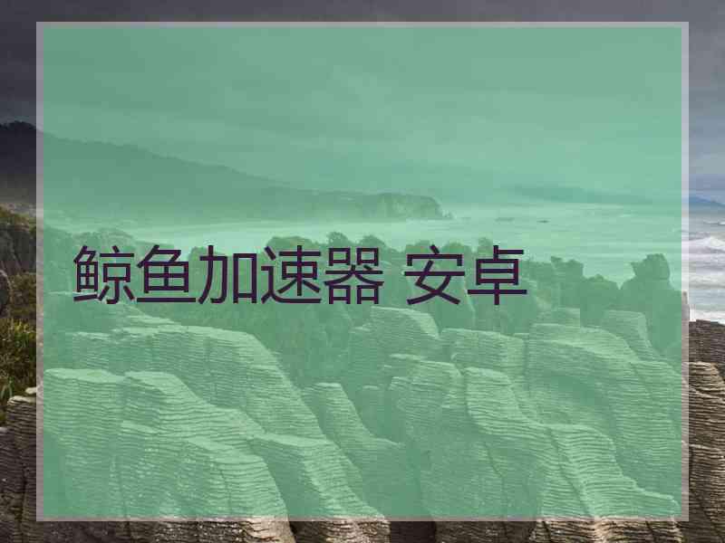 鲸鱼加速器 安卓
