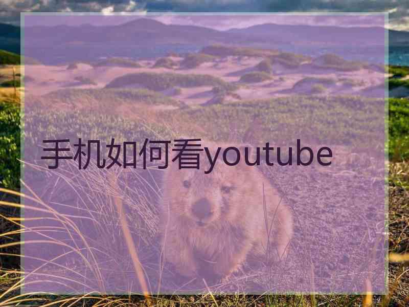 手机如何看youtube