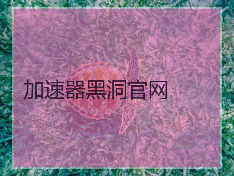 加速器黑洞官网
