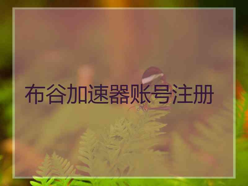 布谷加速器账号注册