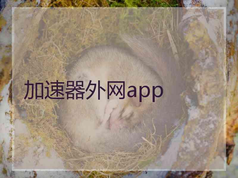 加速器外网app