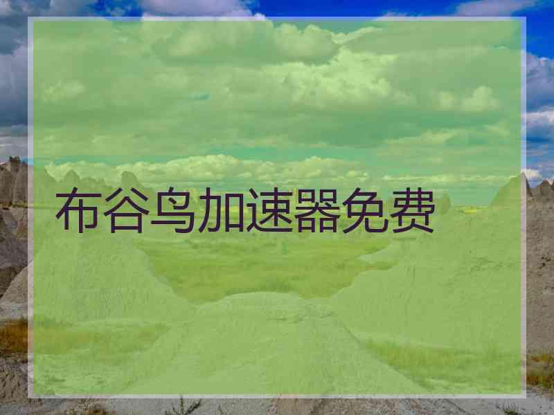 布谷鸟加速器免费