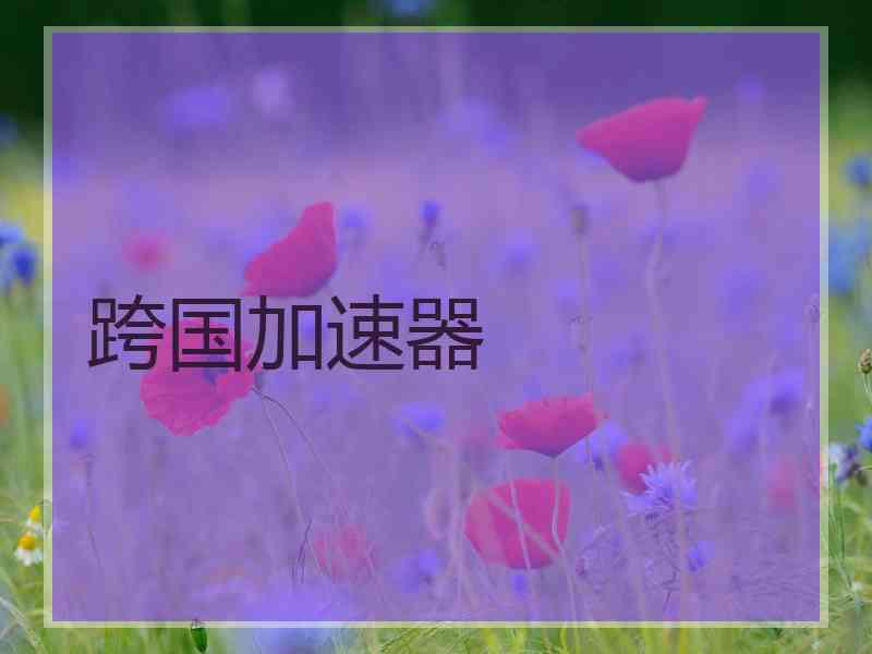 跨国加速器