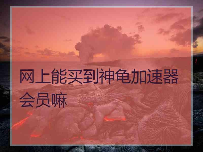 网上能买到神龟加速器会员嘛