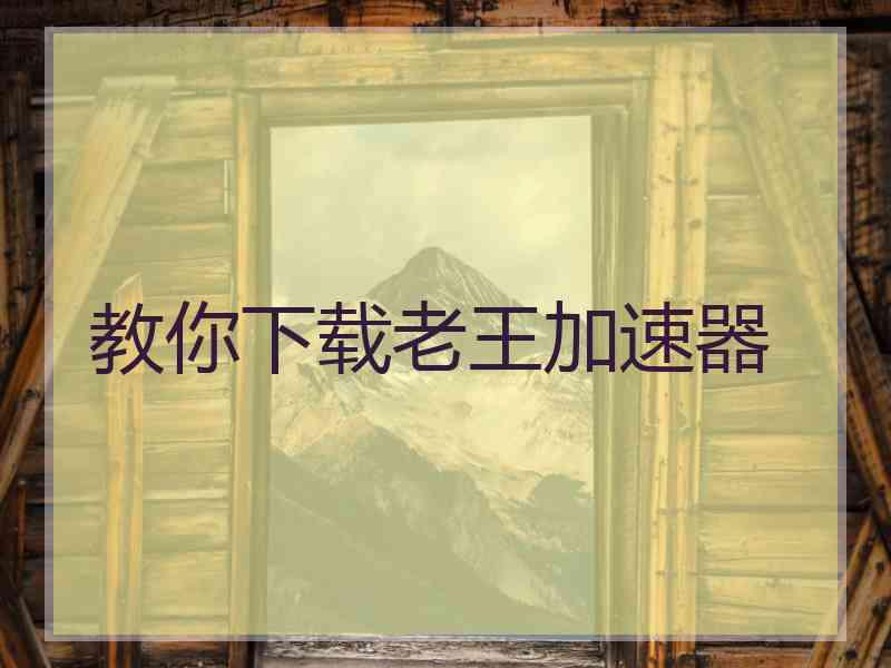 教你下载老王加速器
