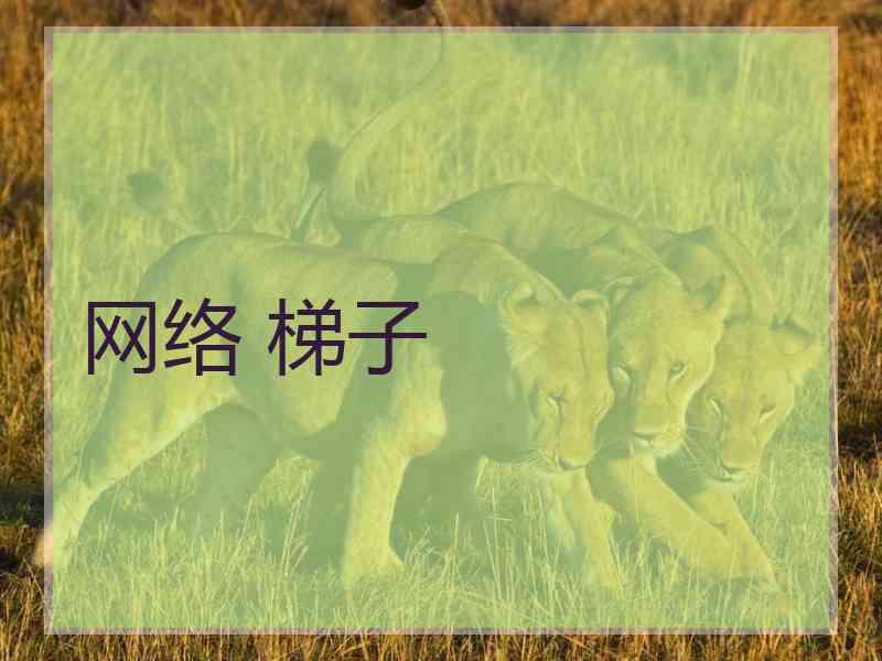 网络 梯子