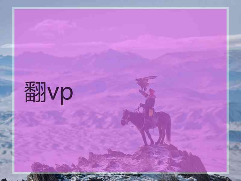 翻vp