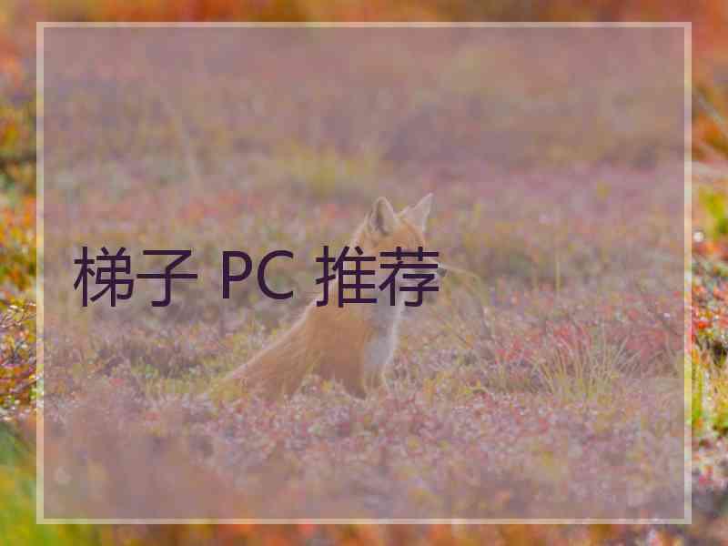 梯子 PC 推荐