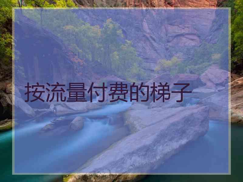 按流量付费的梯子