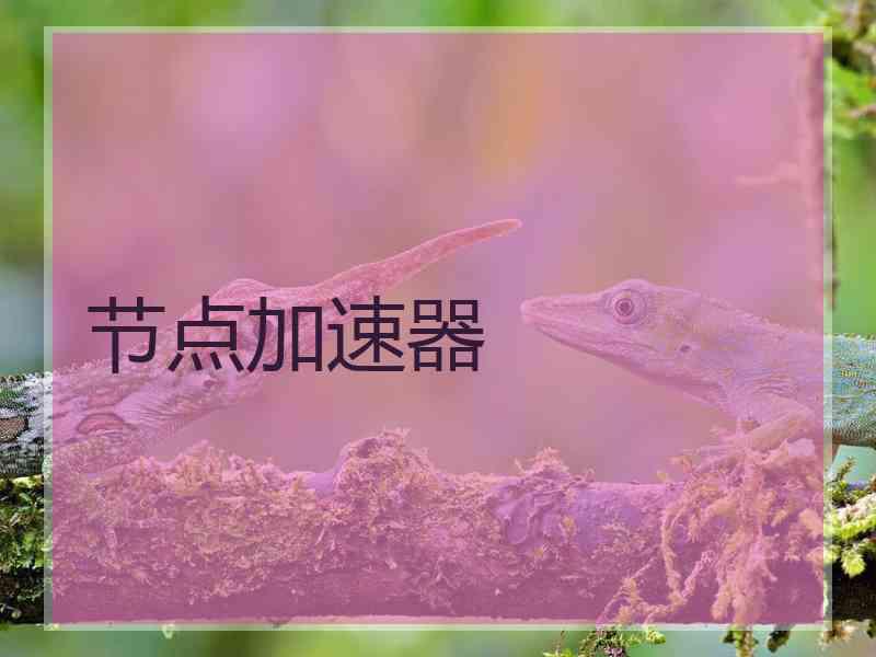 节点加速器