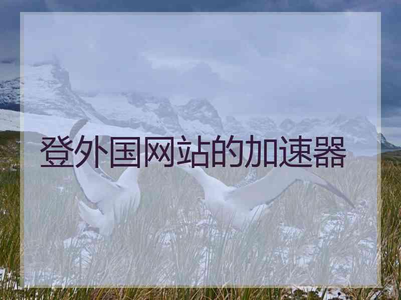 登外国网站的加速器