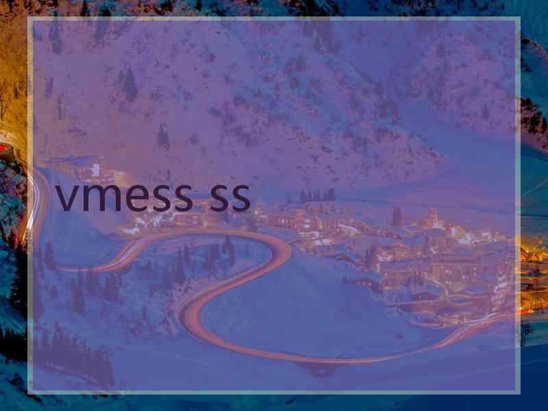 vmess ss