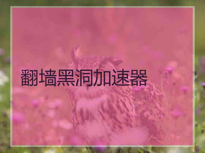 翻墙黑洞加速器