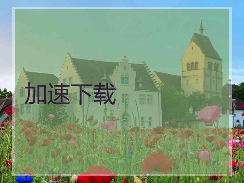 加速下载