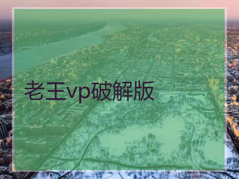 老王vp破解版