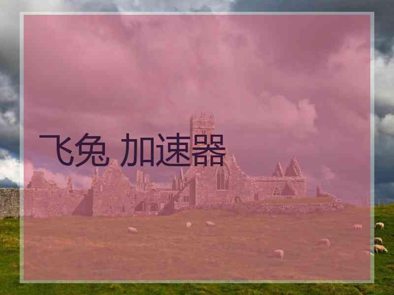 飞兔 加速器