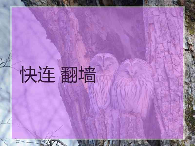 快连 翻墙