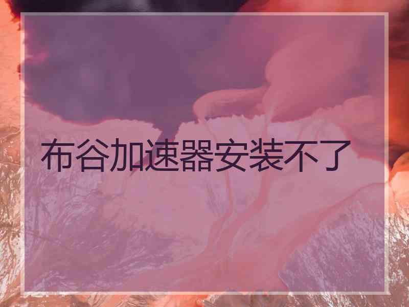 布谷加速器安装不了
