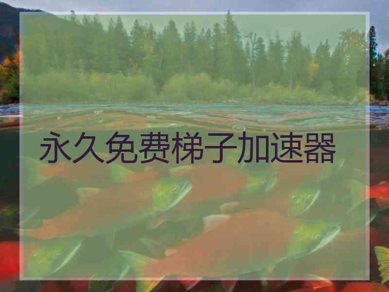 永久免费梯子加速器
