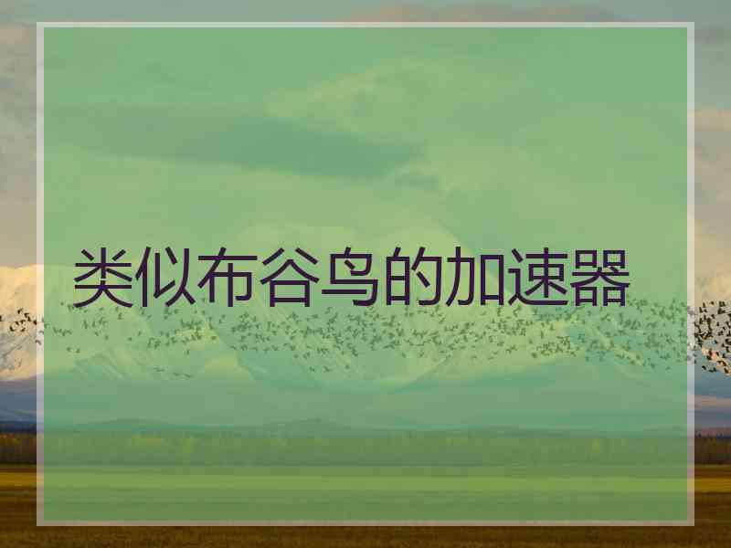 类似布谷鸟的加速器