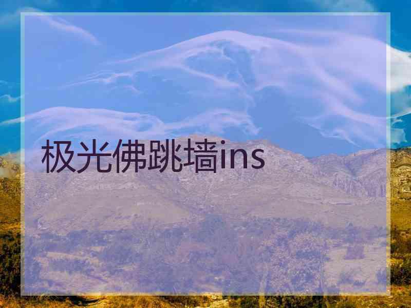 极光佛跳墙ins