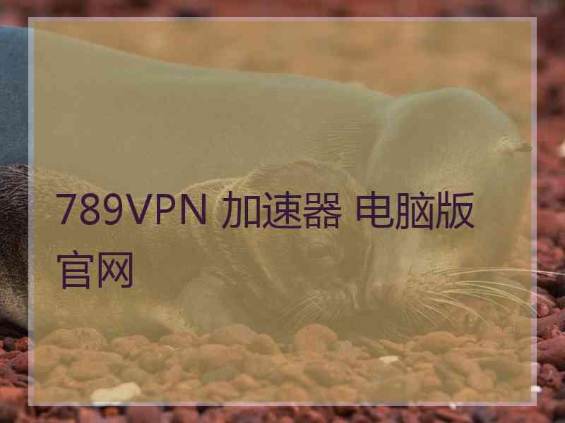 789VPN 加速器 电脑版 官网