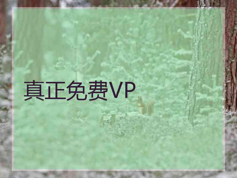 真正免费VP