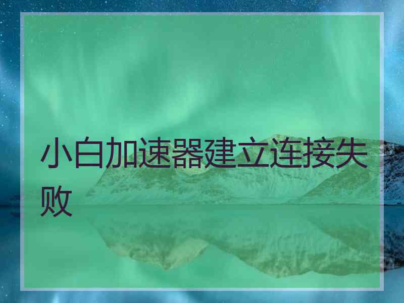 小白加速器建立连接失败