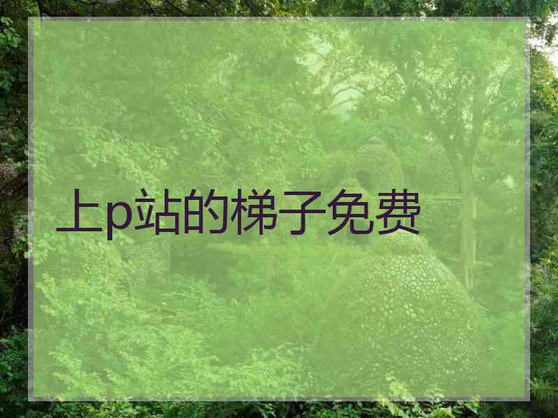上p站的梯子免费