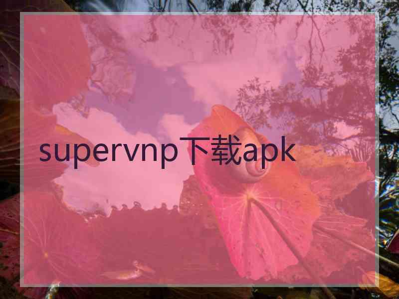 supervnp下载apk