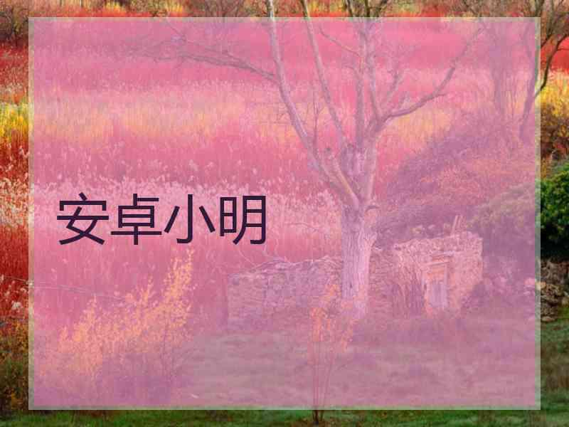 安卓小明