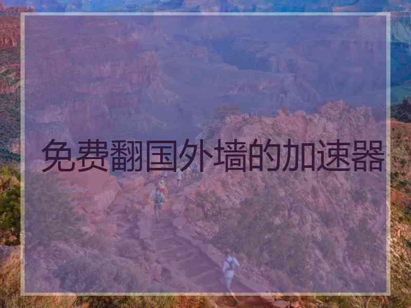 免费翻国外墙的加速器