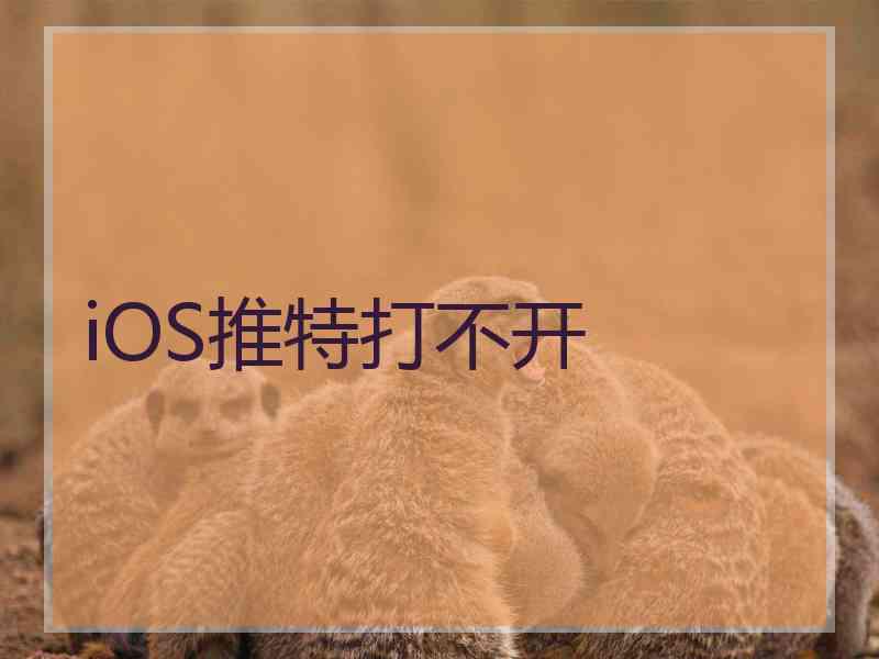 iOS推特打不开