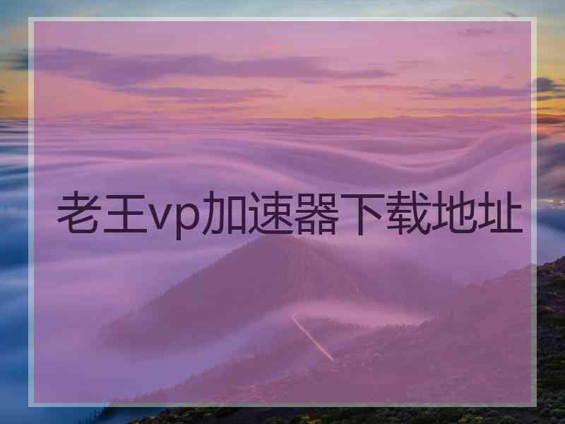 老王vp加速器下载地址