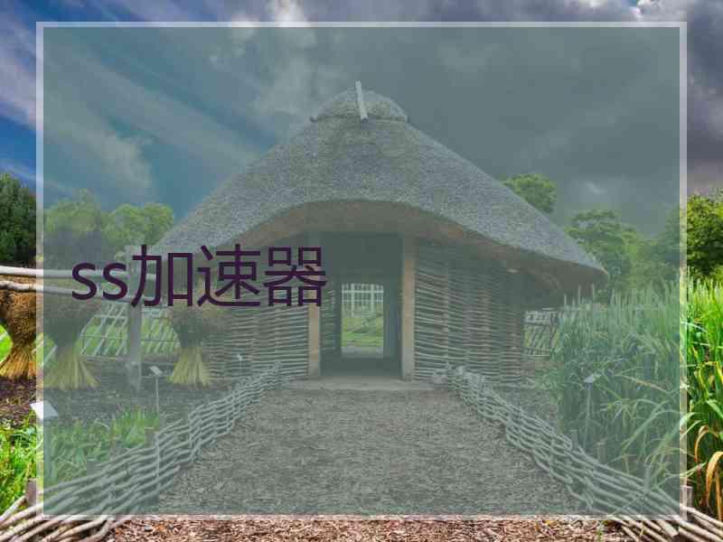 ss加速器