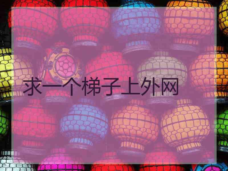 求一个梯子上外网