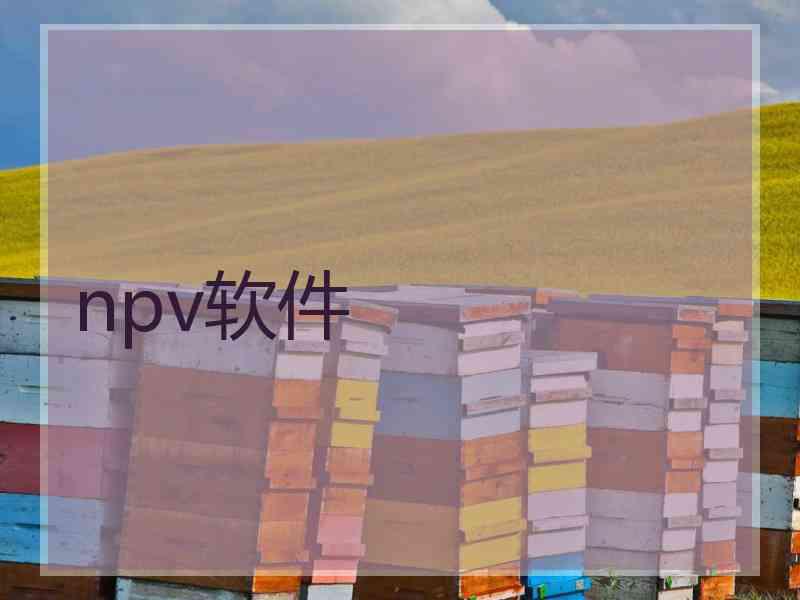 npv软件